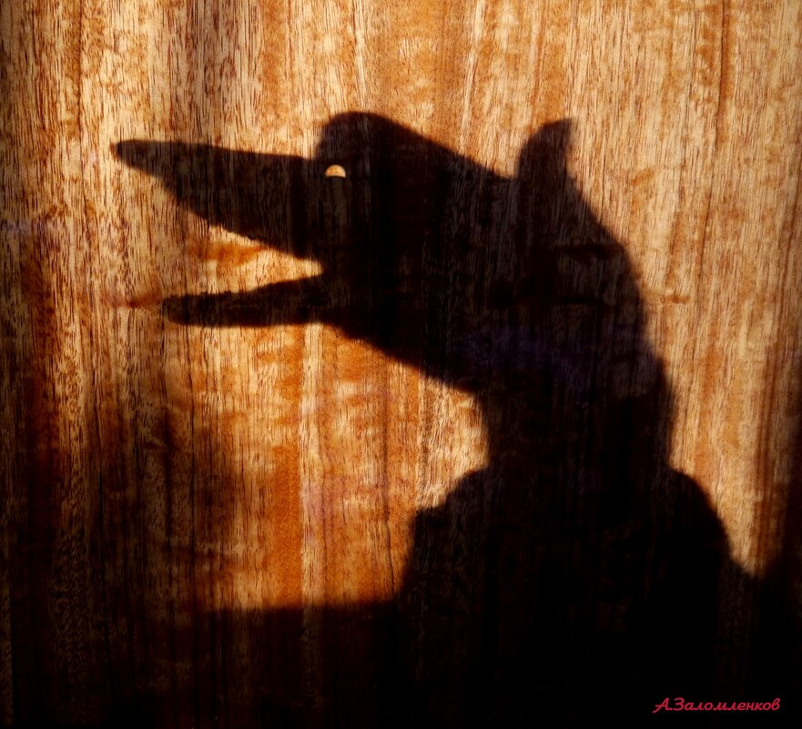 С Днём психолога! А как вы справляетесь со своими страхами? :-) - Андрей Заломленков