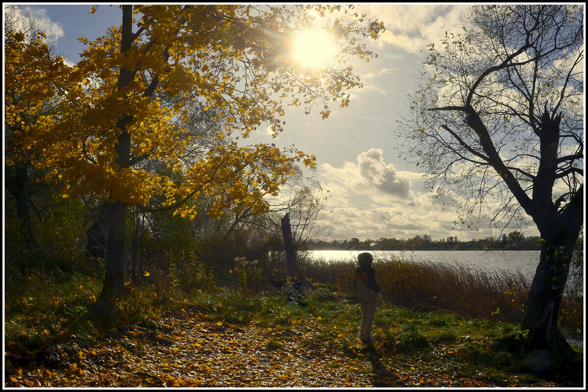 Светит но не греет.... - Aleksandr Gal