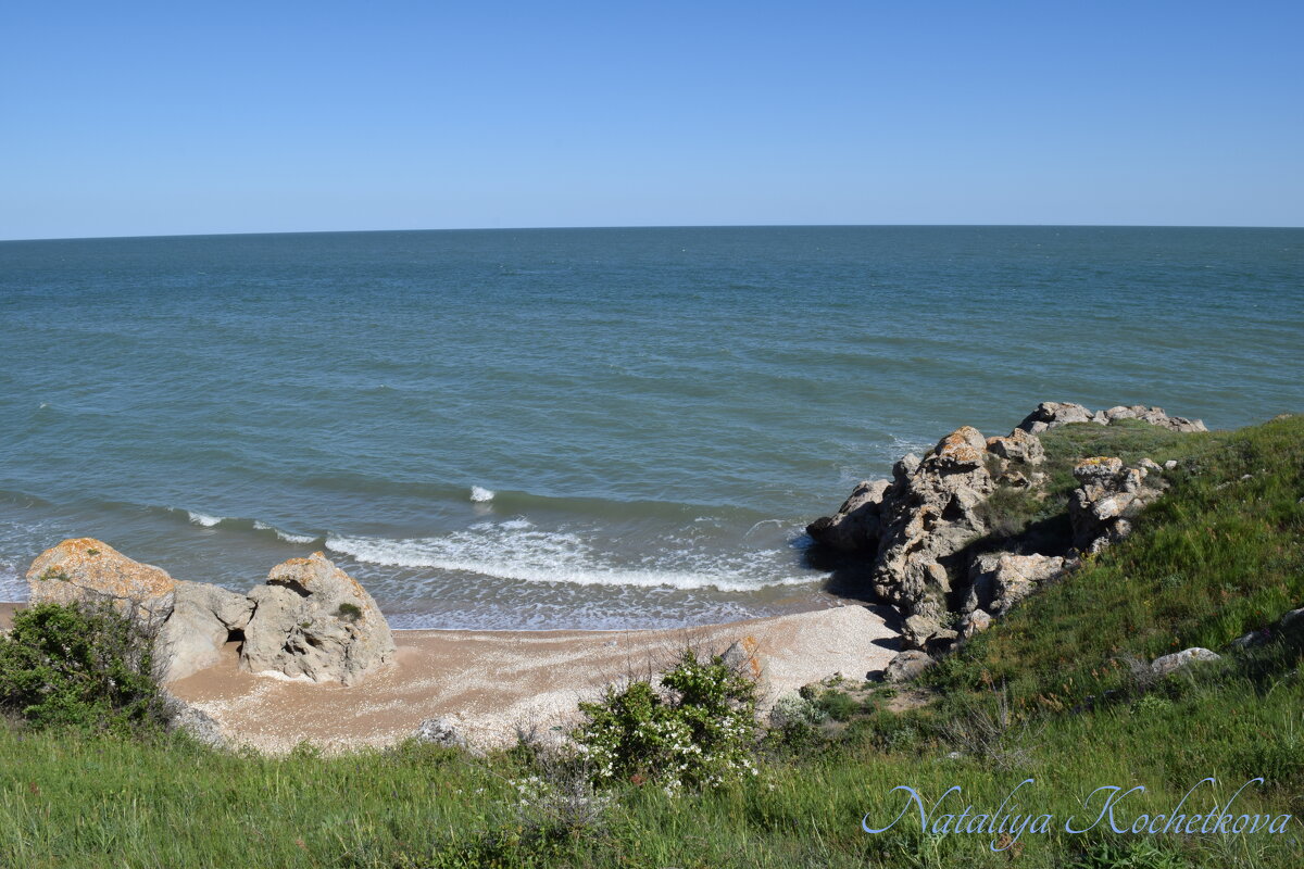 Природа Крыма - Amazing Cosmea