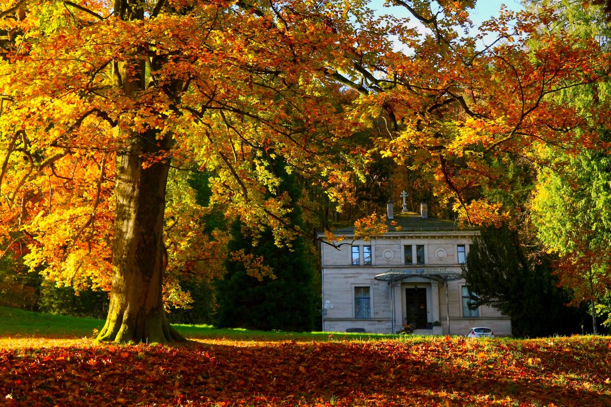 Одно утро осени - Юрий. Шмаков