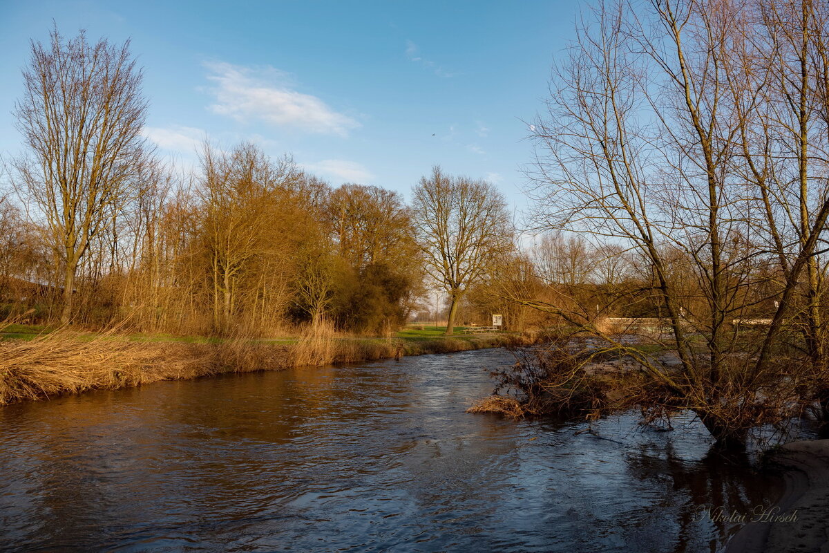*** - Николай Гирш