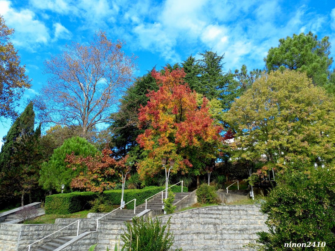 Адлер. Пансионат "Орбита" - Нина Бутко