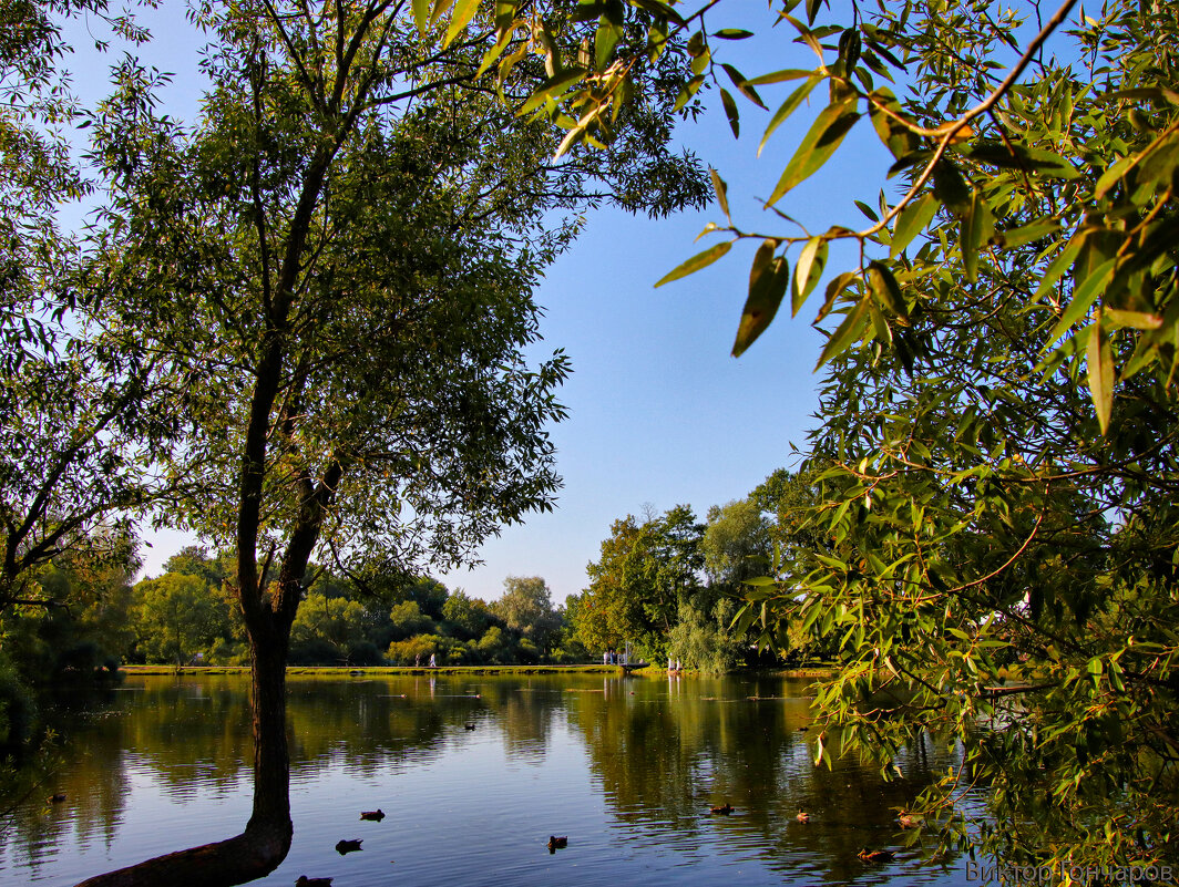 пруд,Петергоф - Laryan1 