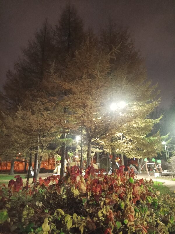 Осень - Сапсан 