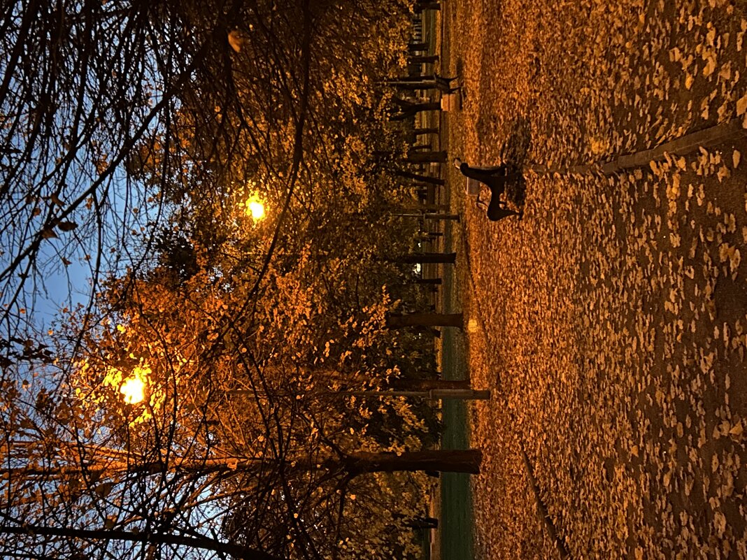 Золотая осень - Марина Панькина