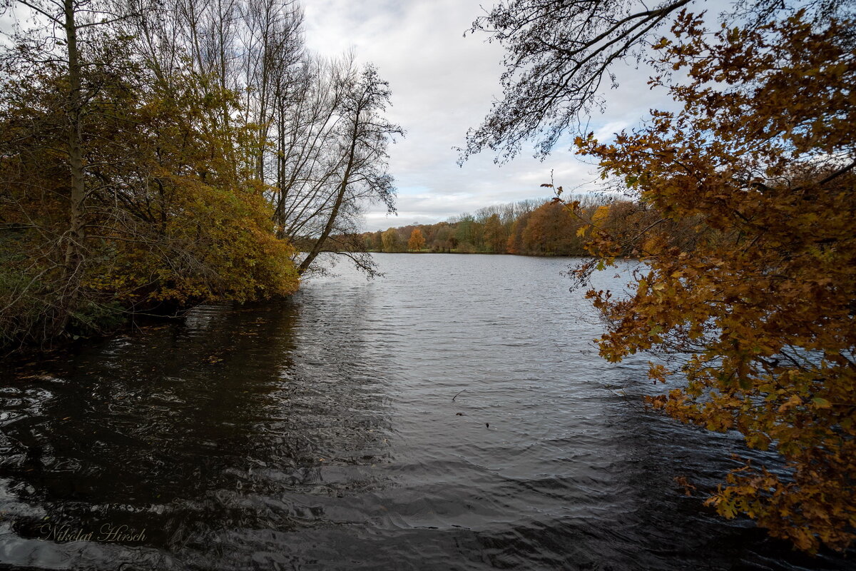 Ноябрьское... - Николай Гирш