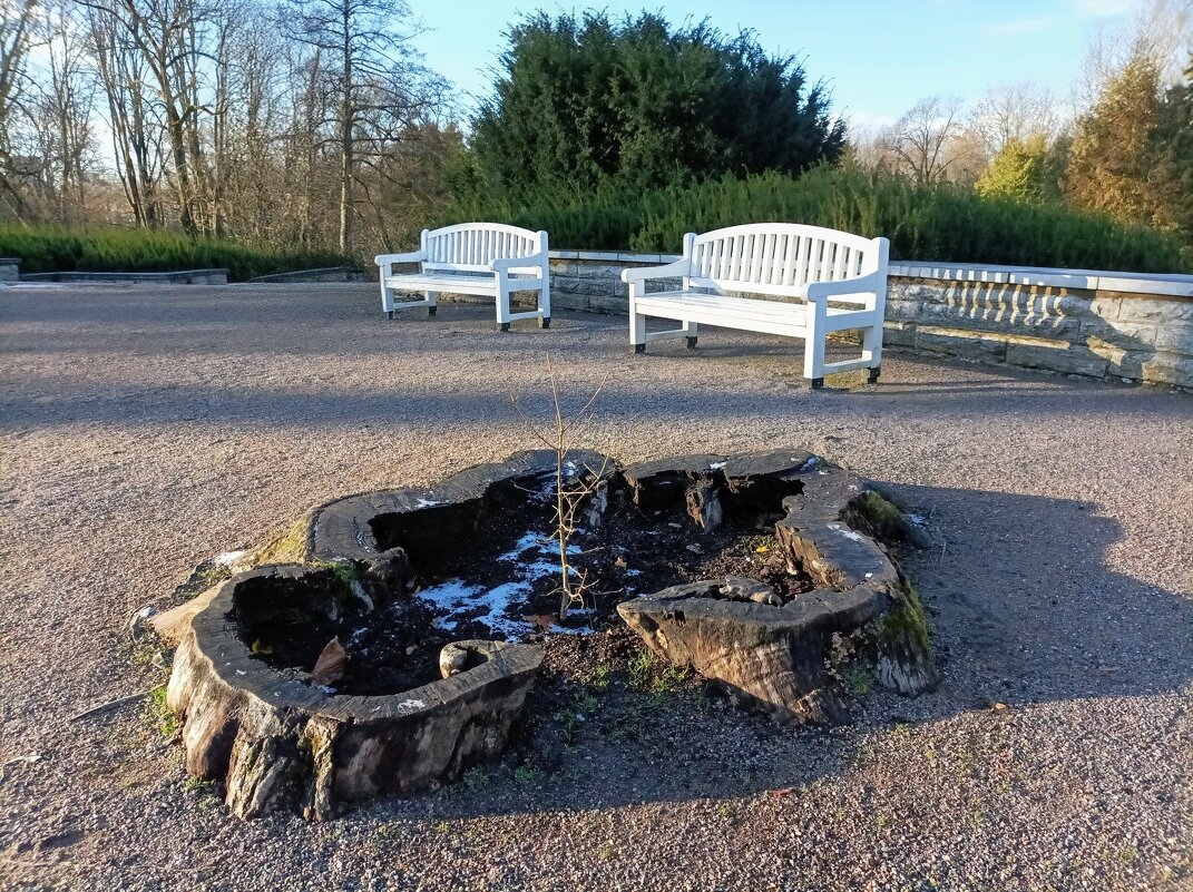 Прогулка по парку Кадриорг - Veera V