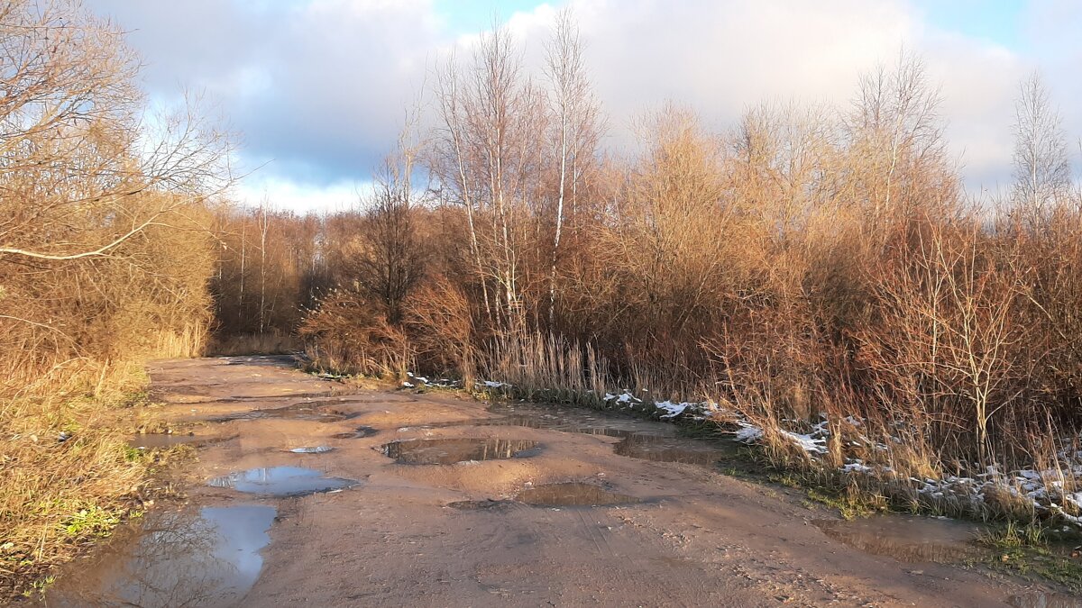 Ноябрь - Наталья Герасимова