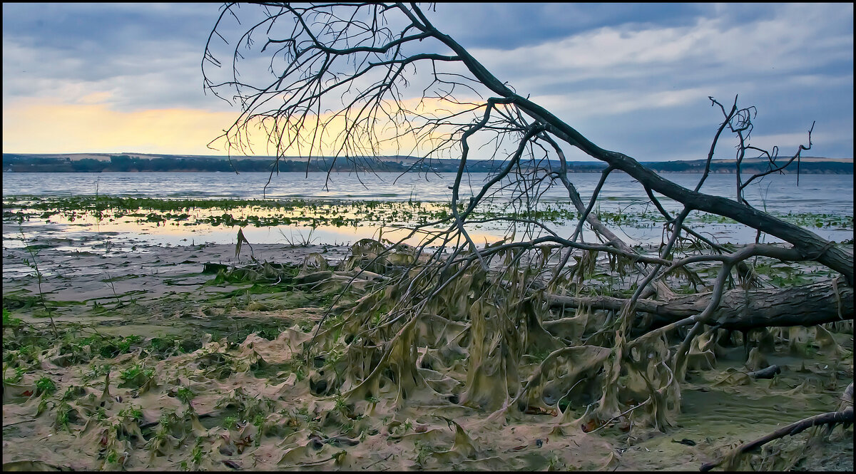 Волга - **** vedin