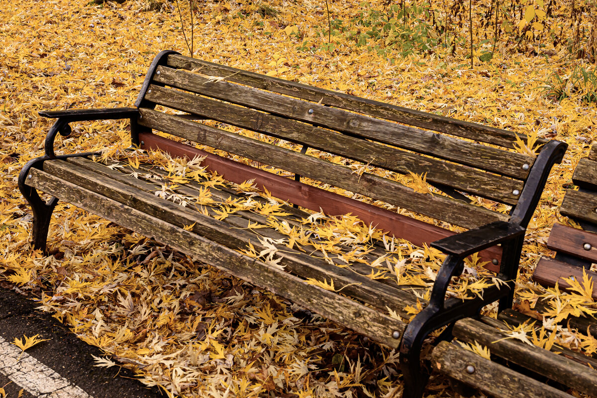 Осень. - Валерий Пославский Осень. - Валерий Пославский