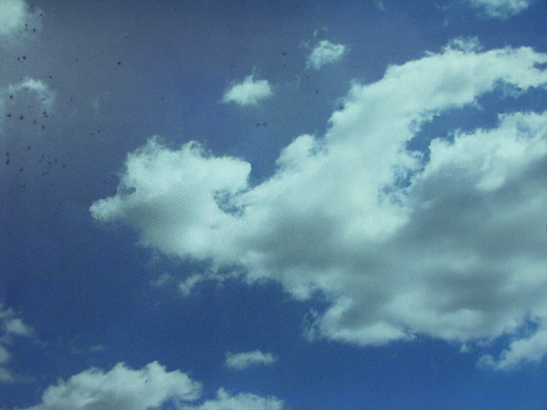 Летящее чудо - Людмила Смородинская