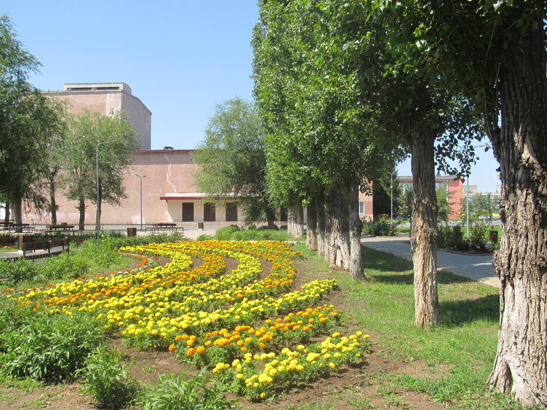 июль - Елена Шаламова