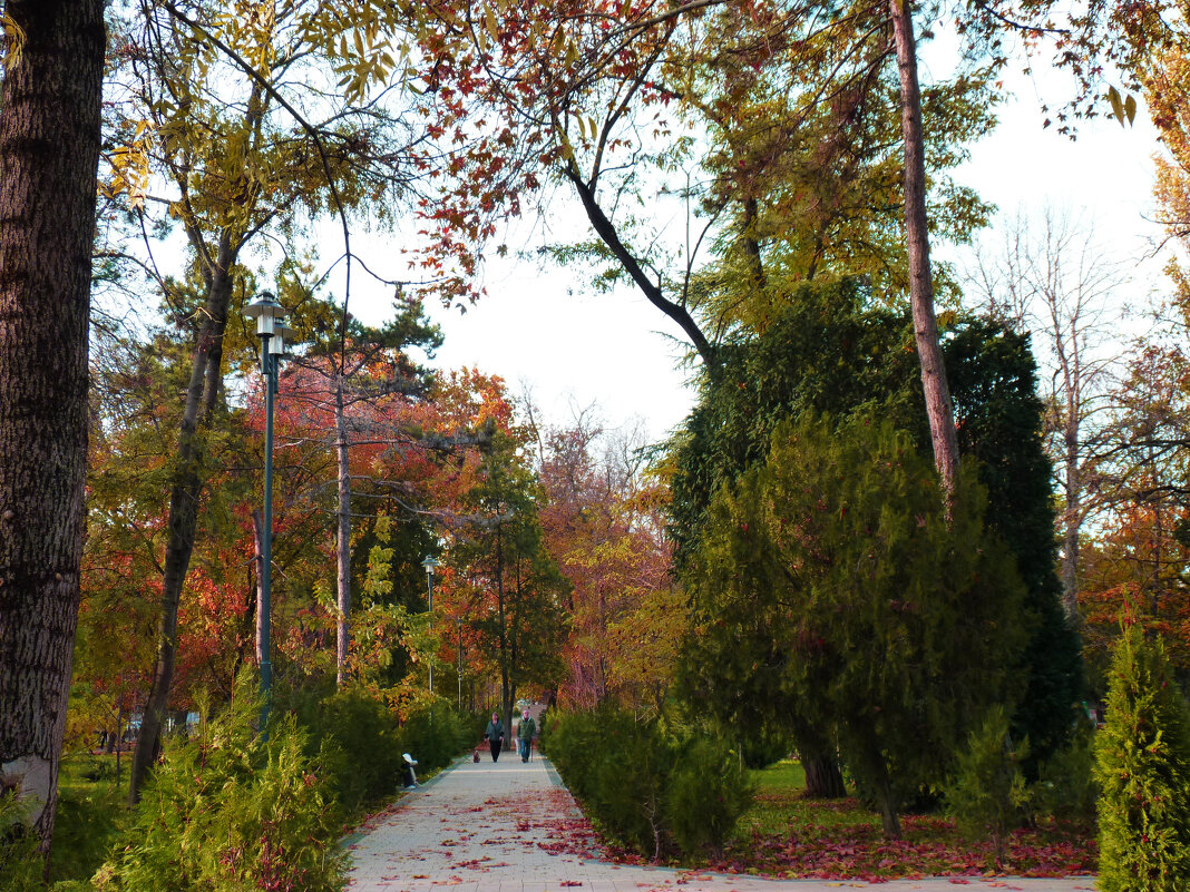 Осень на бульваре  Ленина - Валентин Семчишин
