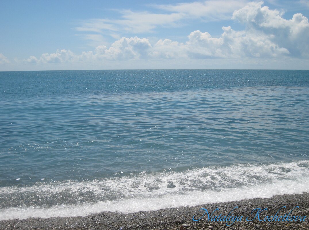 Природа Крыма - Amazing Cosmea