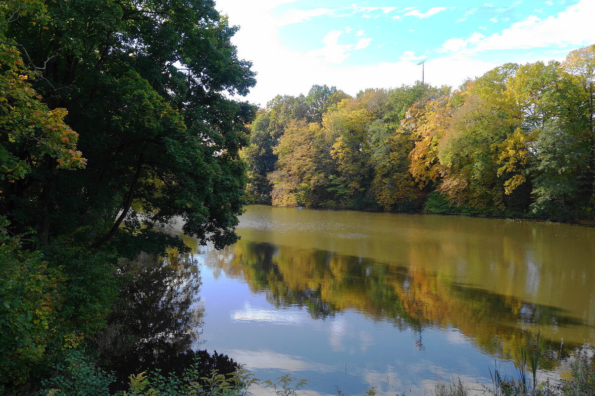 Осенние зарисовки - Рита Симонова Осенние зарисовки - Рита Симонова