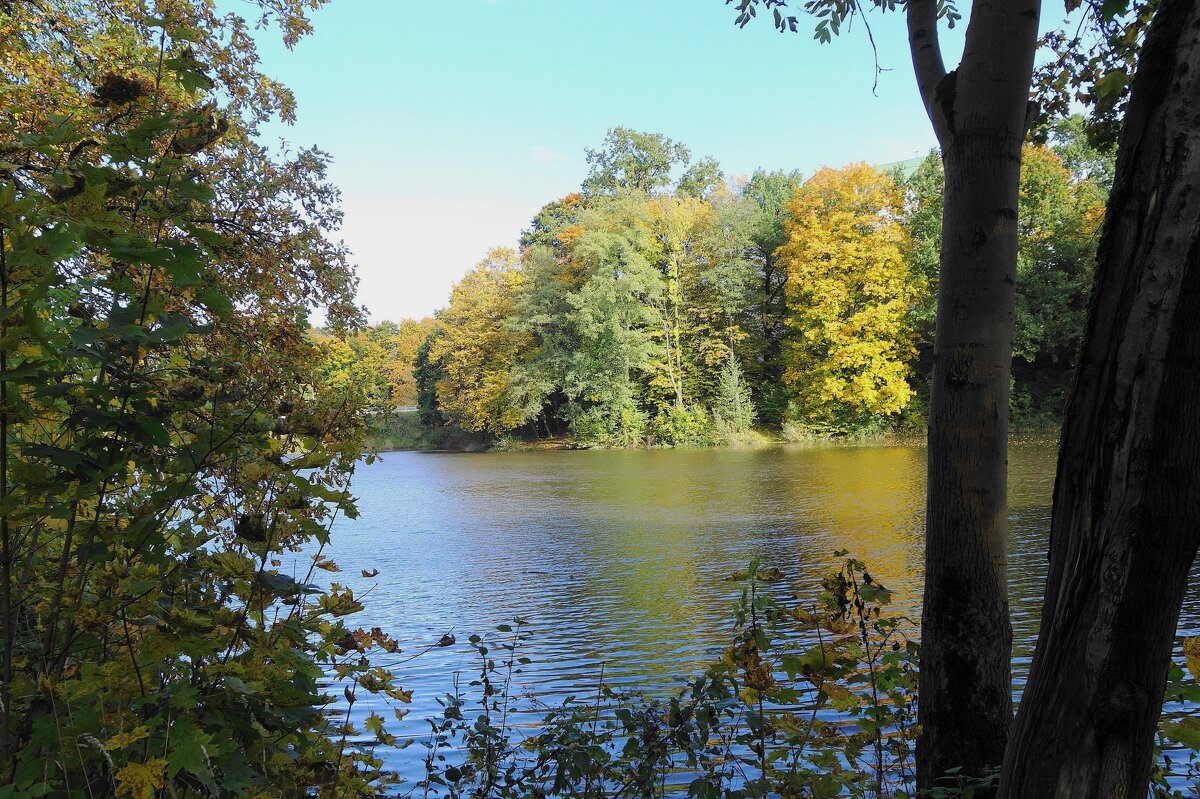 Осенние зарисовки - Рита Симонова