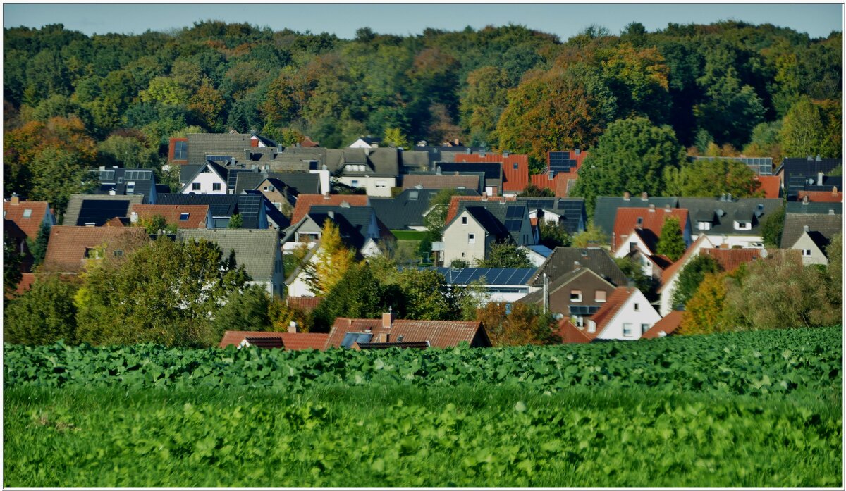 ПРОЕЗДОМ... - Elvira E. 