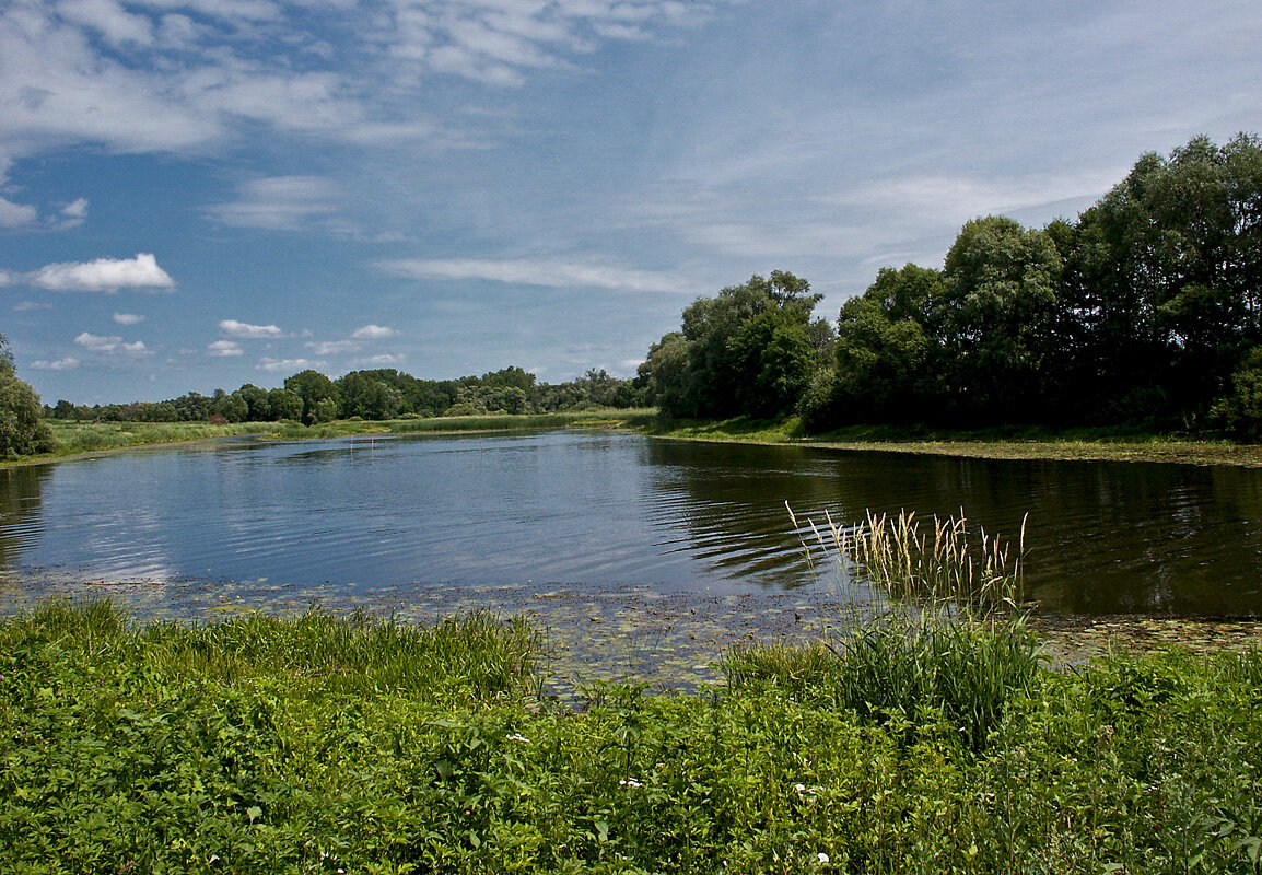 У озера - MILAV V