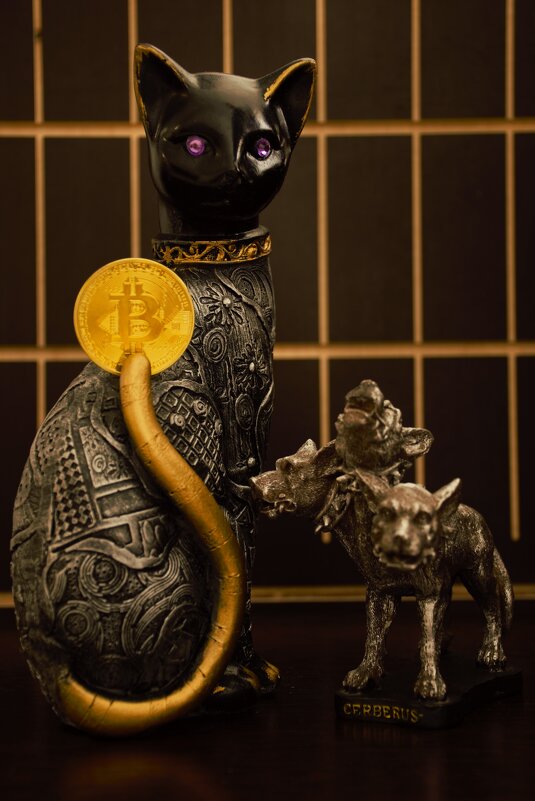 Биткоин. - Юрий Полторыхин.