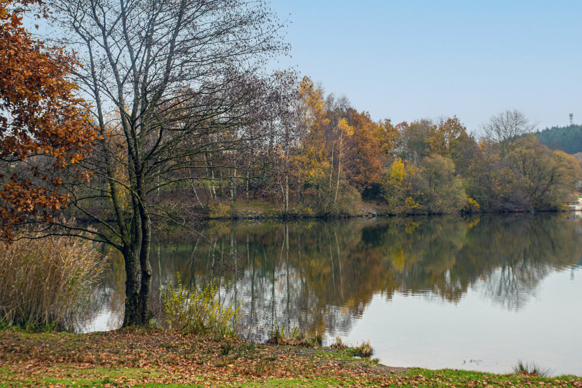 Поздняя осень. - Lucy Schneider 