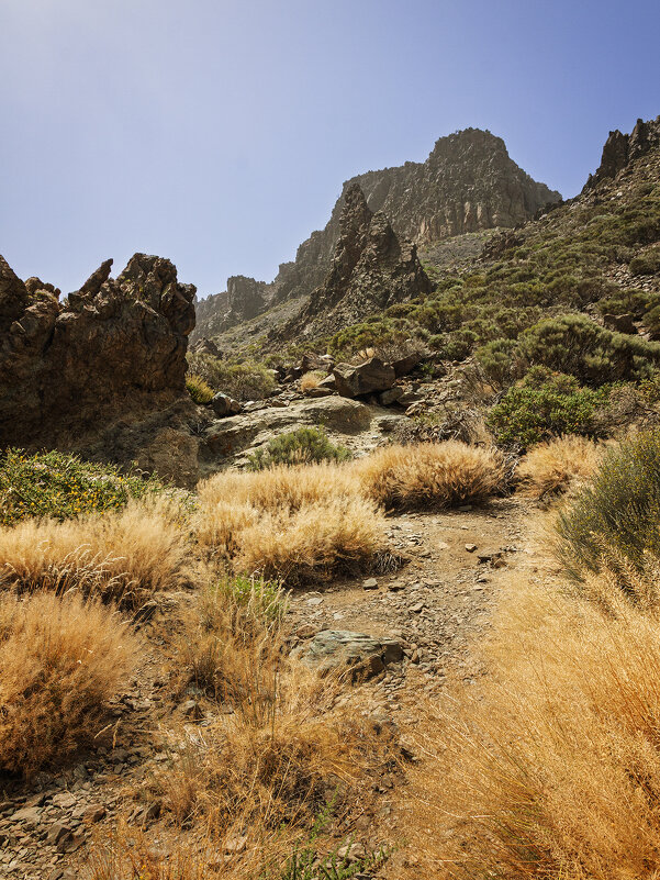 В начале пути - Дмитрий Сурин В начале пути - Дмитрий Сурин