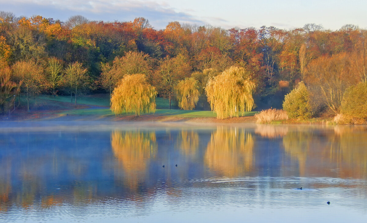 ***** - Андроник Александр 