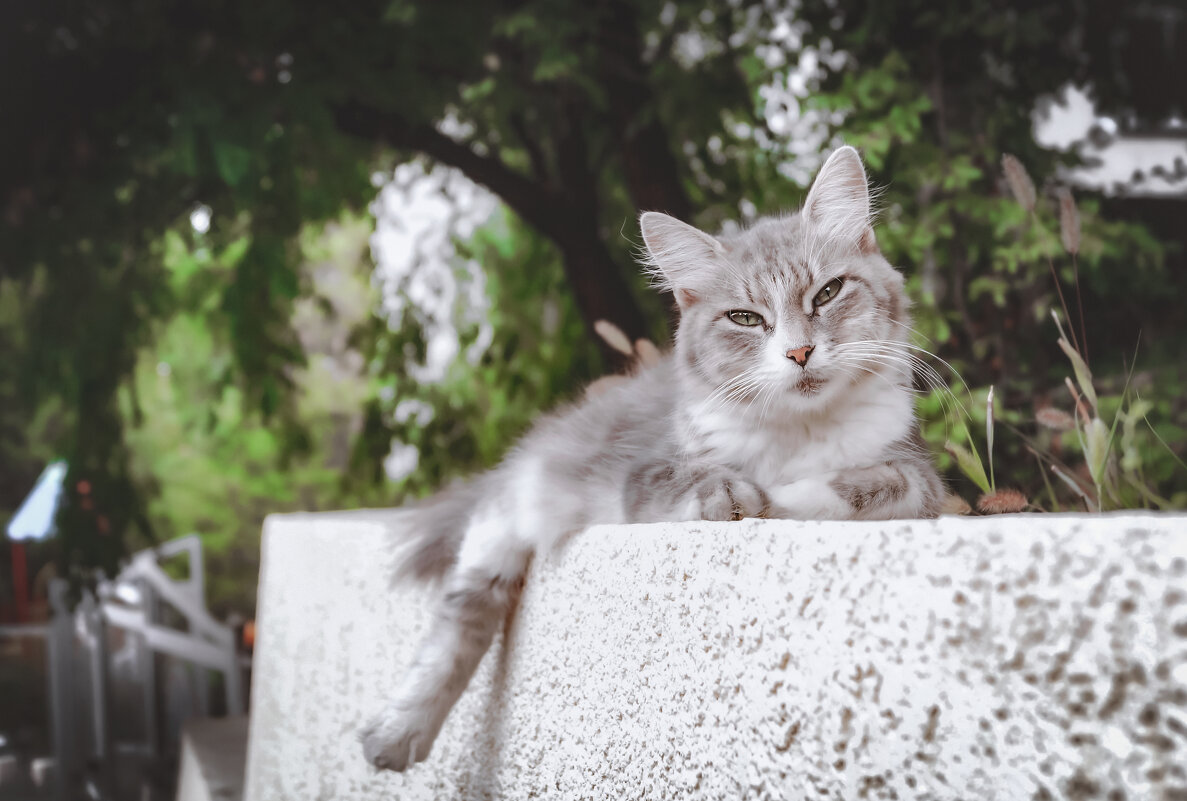 Ну, лежу и лежу (2) - Сергей Царёв