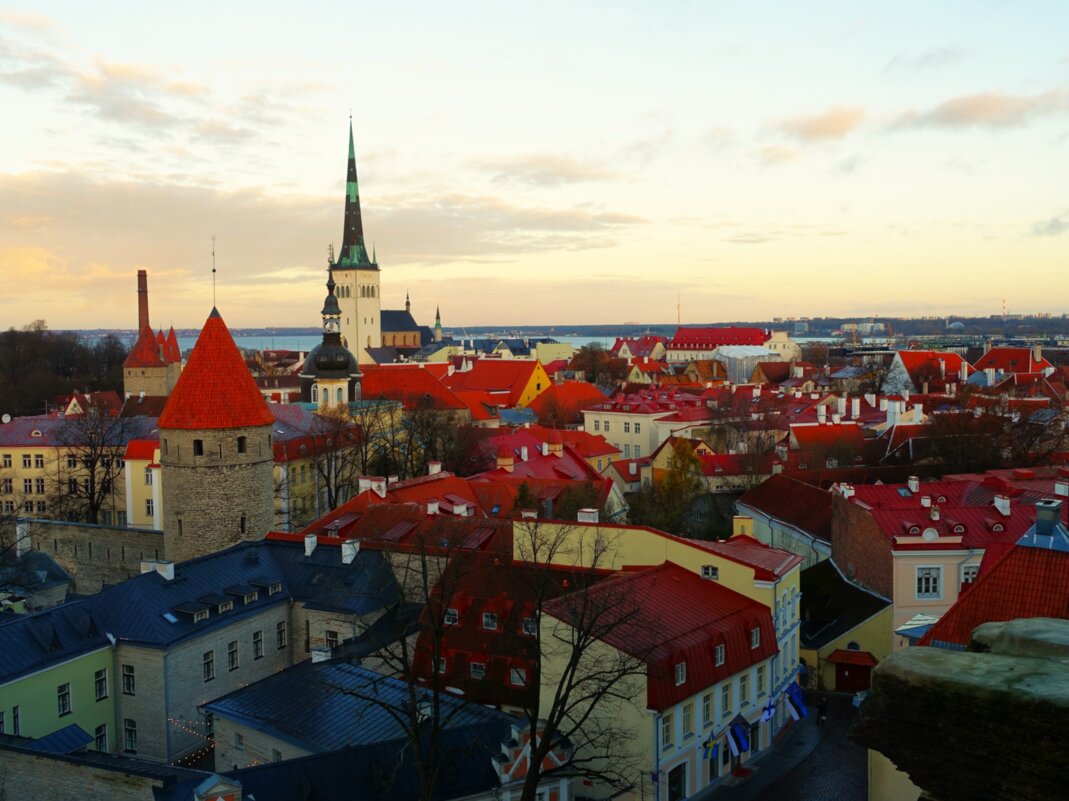 Вид на Таллин со смотровой Паткули - Aida10 