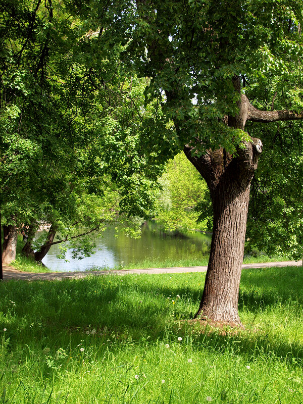 Люблинский парк - Игорь Белоногов