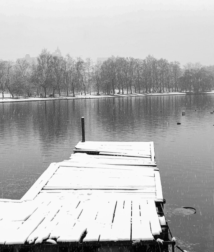 На пруду - Александр 