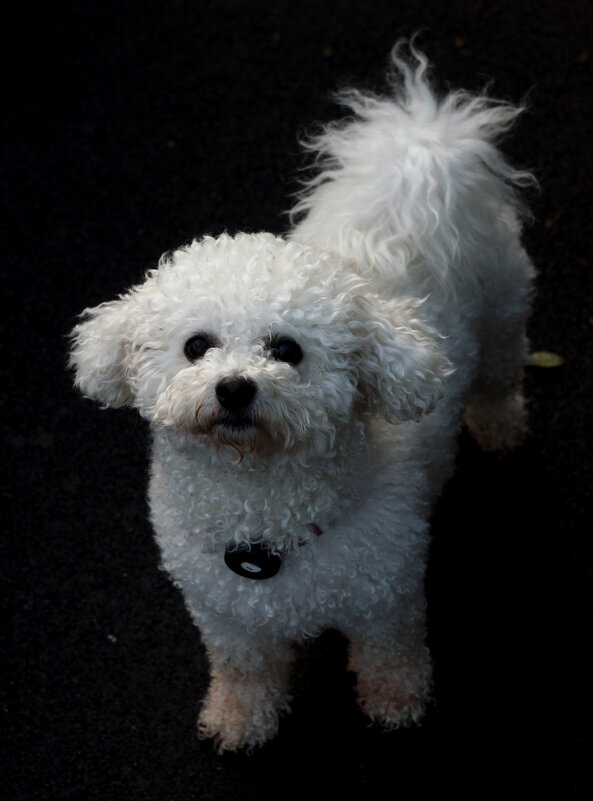 Бэла - Сергей Порфирьев Бэла - Сергей Порфирьев