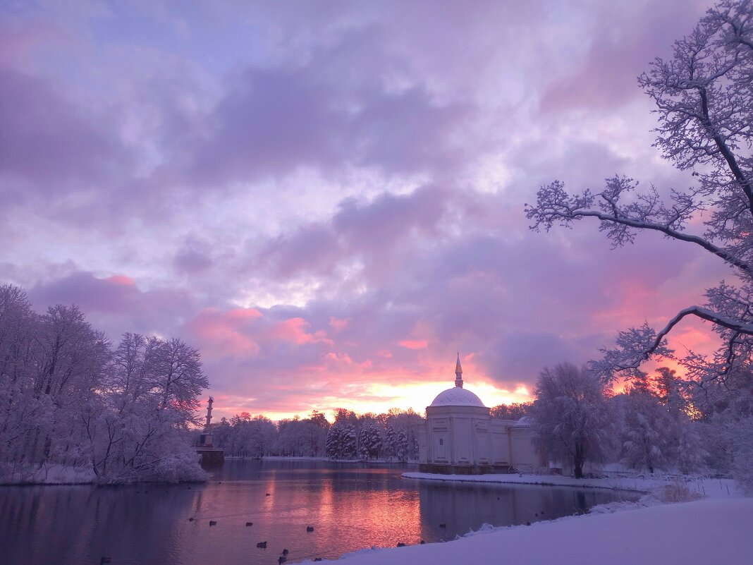 Рассвет - Сапсан 