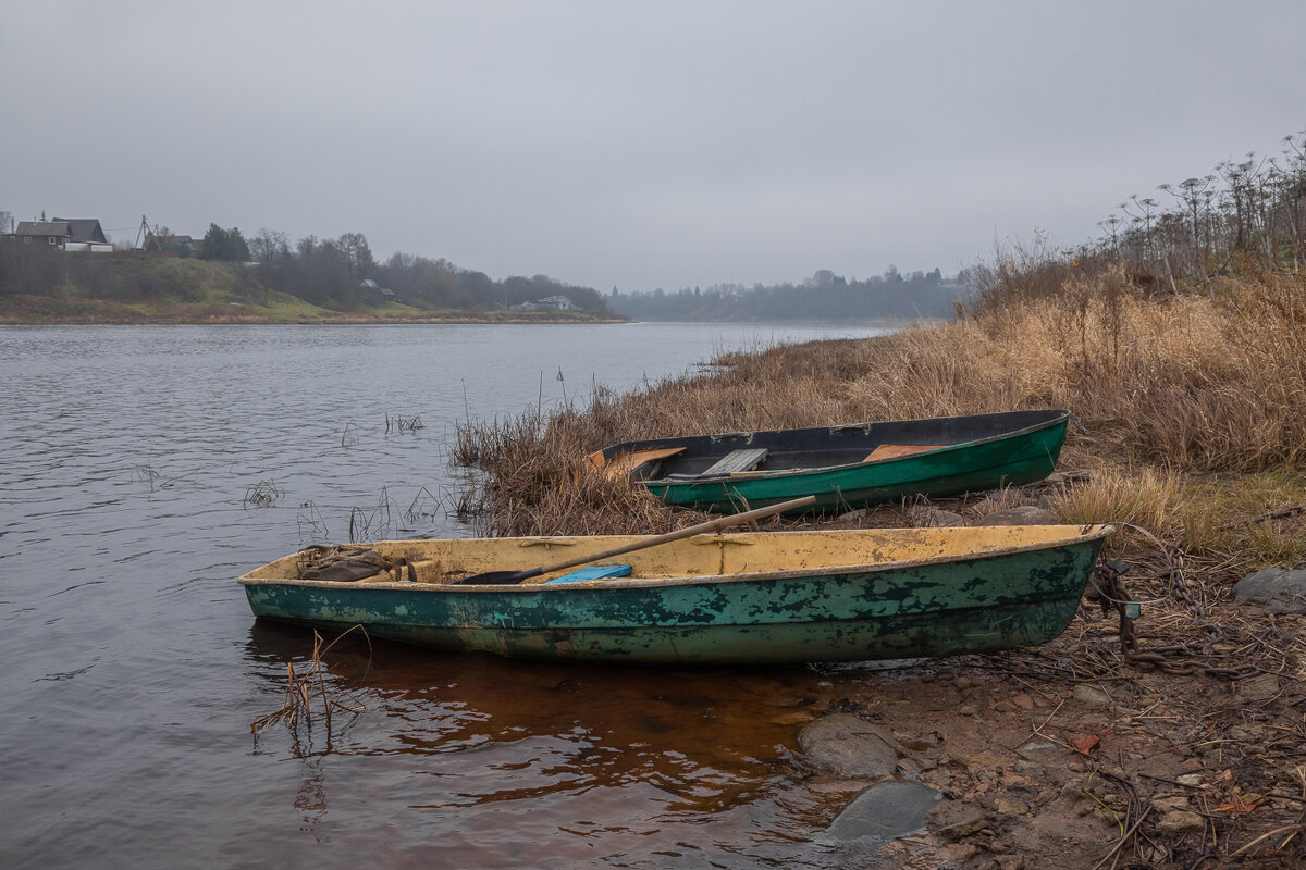 **** - Елизавета .