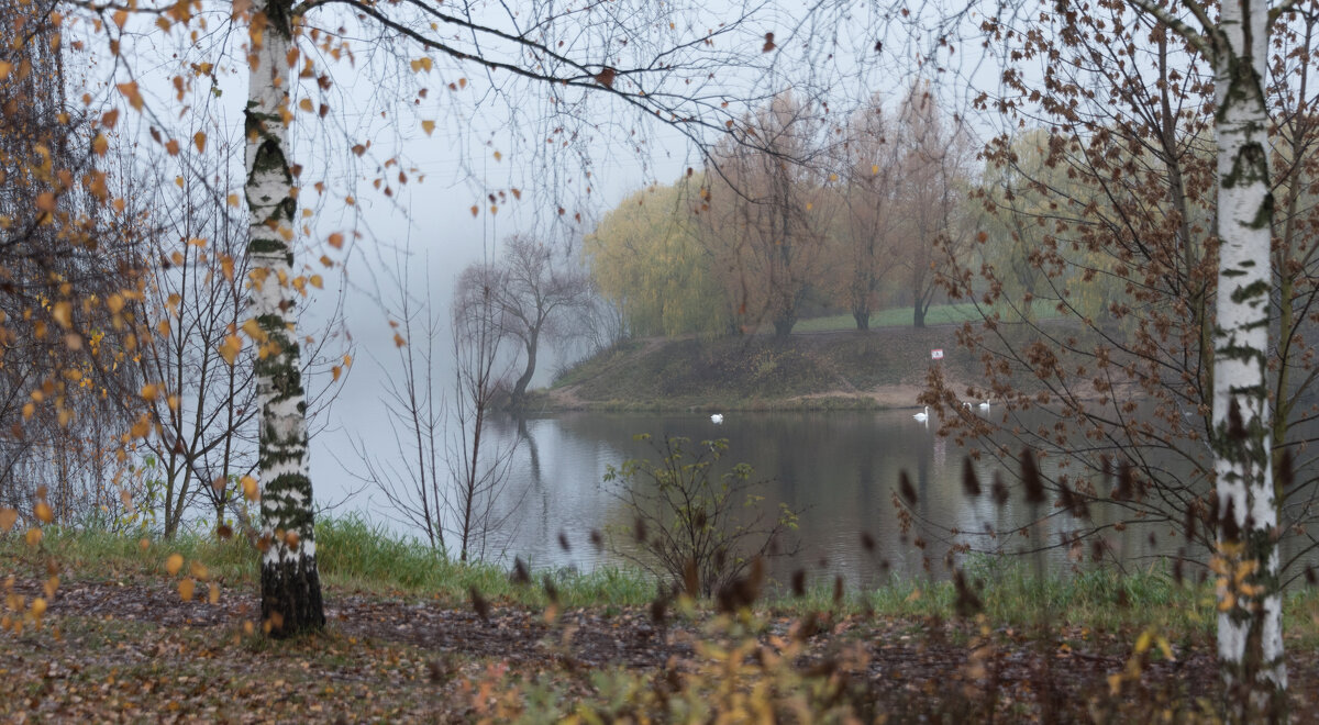 **** - Владимир Безбородов