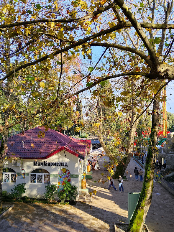 РИВЬЕРА - Tata Wolf