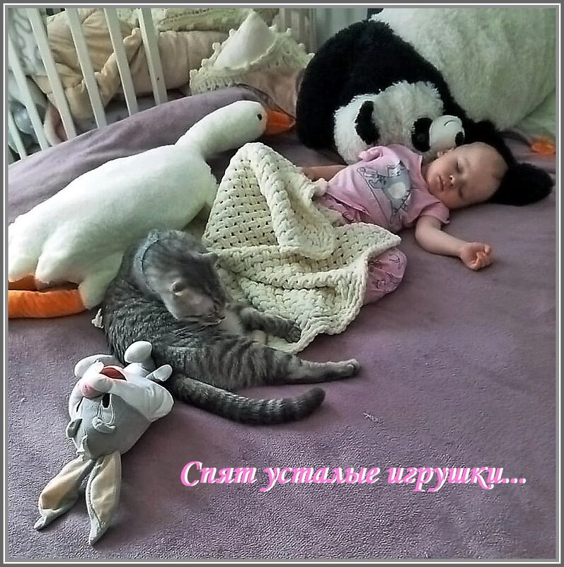 В доме тихий час - Ольга Довженко