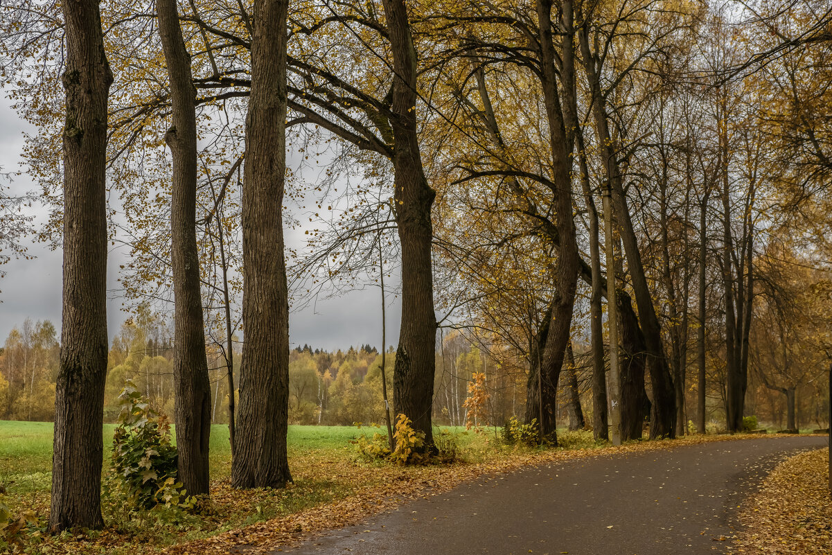 По дорогам осени. - Николай 