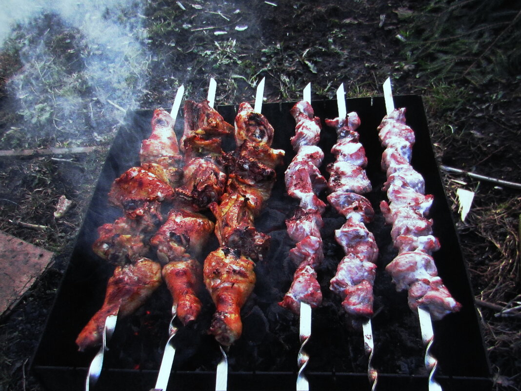 Жарится шашлык - Людмила Смородинская