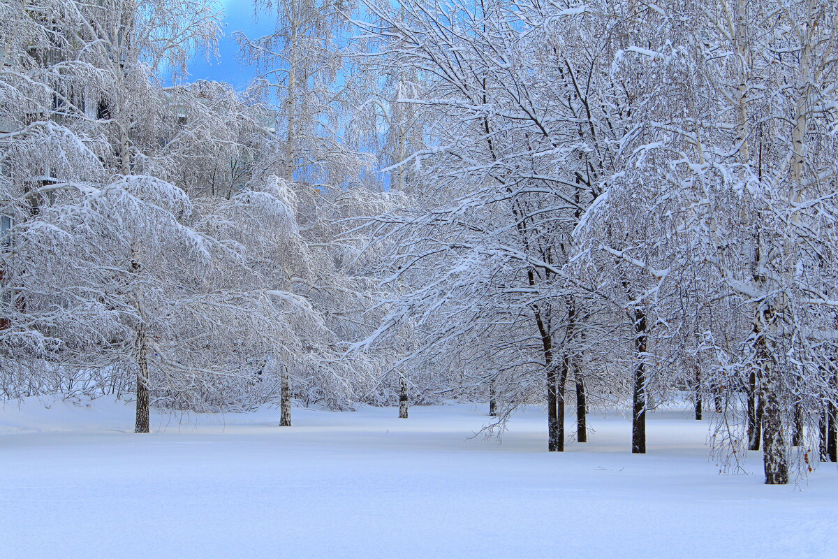 Они пока что шьют наряды, загадочно молчат... - Татьяна Лютаева