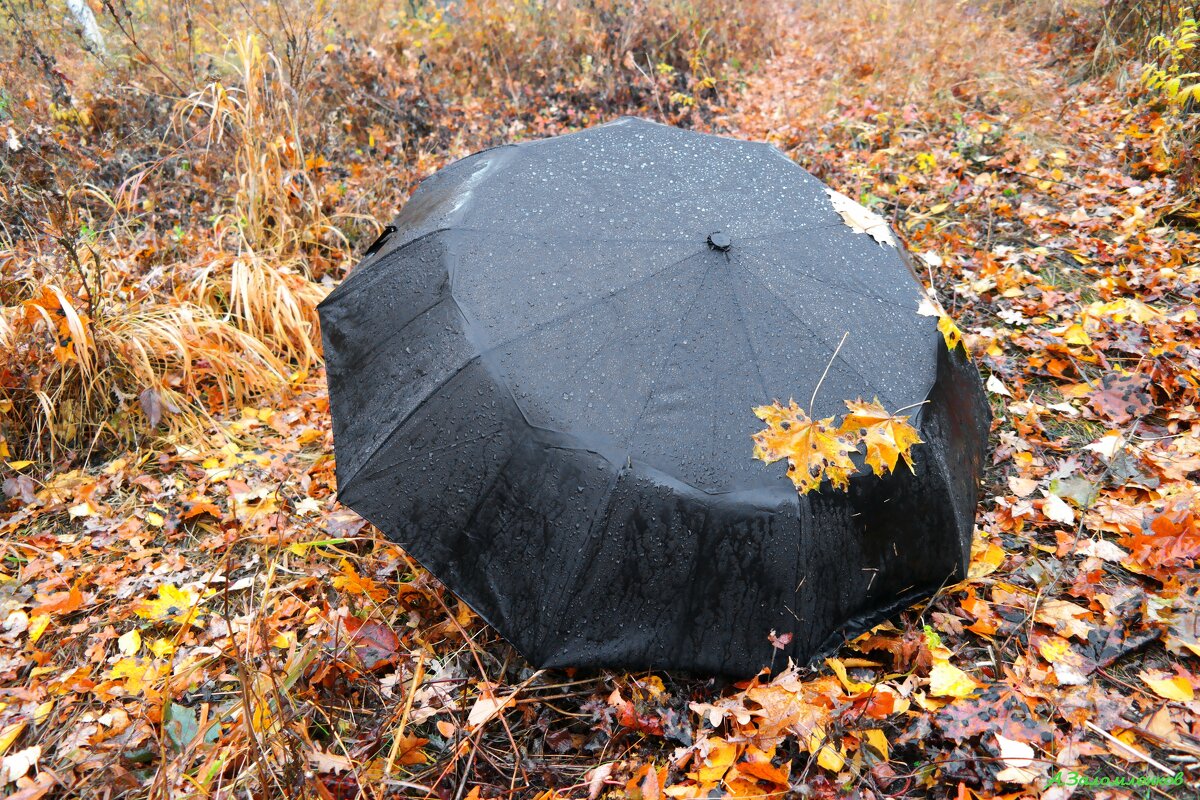 А снега у нас по-прежнему не дают... - Андрей Заломленков
