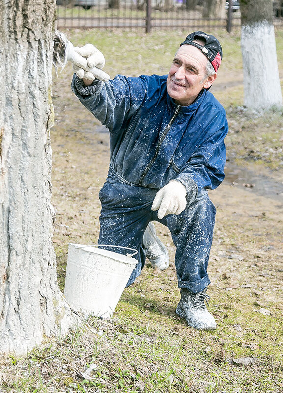 Весенние заботы - Александр Силинский