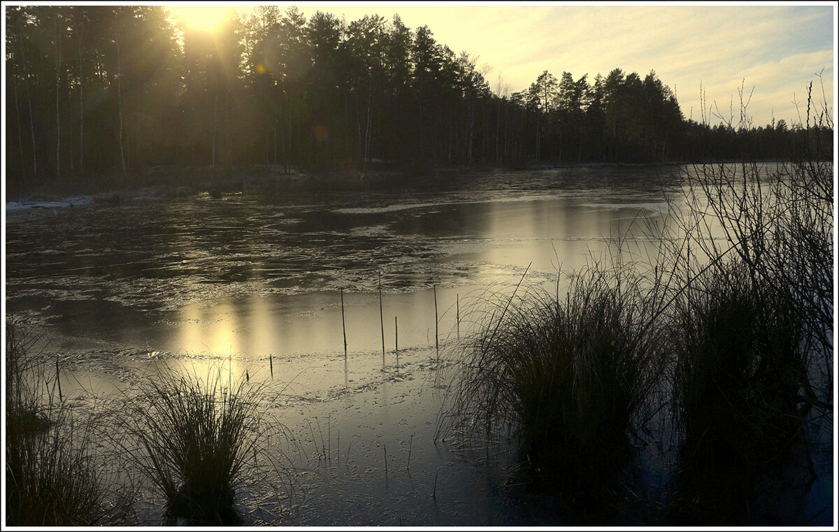 Ноябрь....светит но не греет .. - Aleksandr Gal