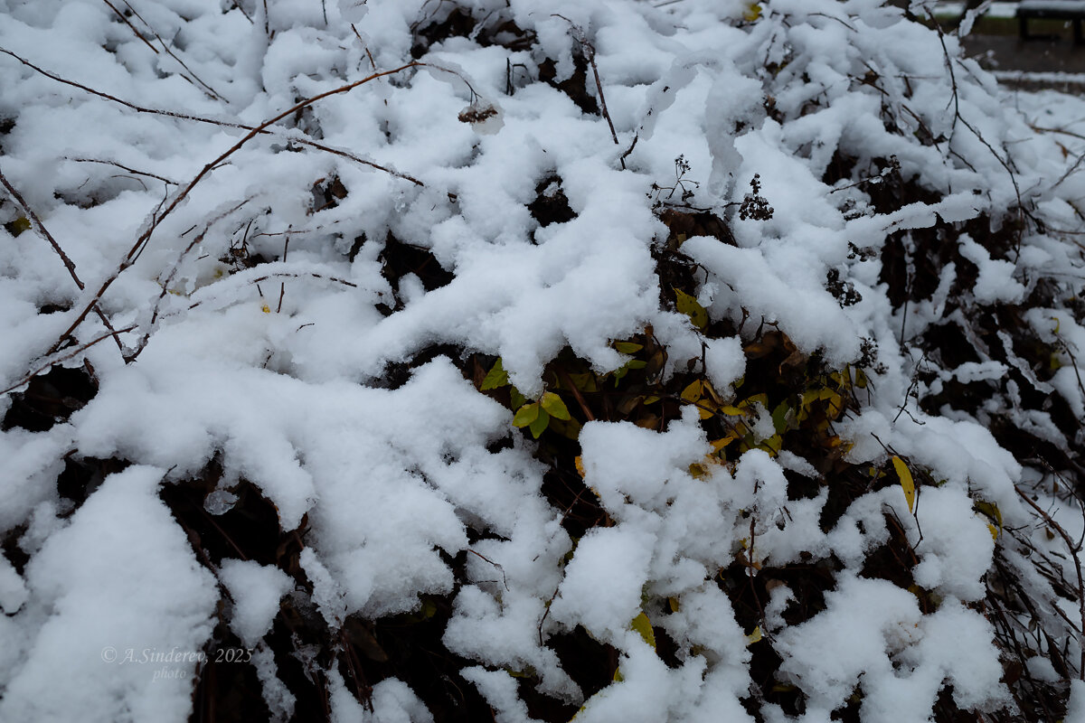 Первый снег - Александр Синдерёв