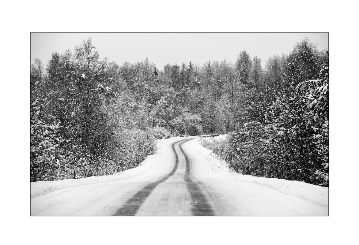 Под Питер. - Aleks Lebedev