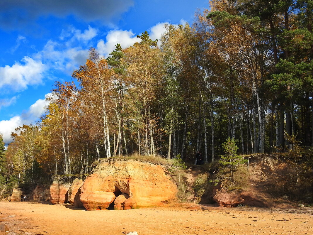 последние дни осени - ИННА ПОРОХОВА