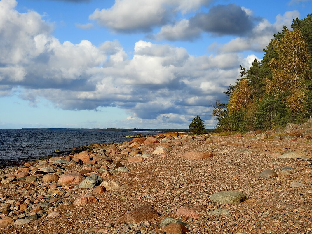 последние дни осени - ИННА ПОРОХОВА последние дни осени - ИННА ПОРОХОВА