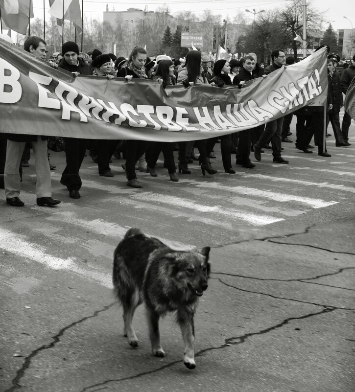 Единство - СЮ 