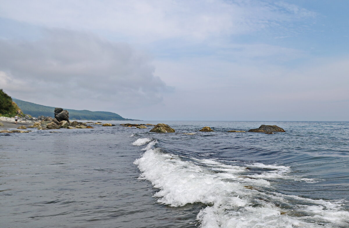 На берегу моря. - Ирина Нафаня