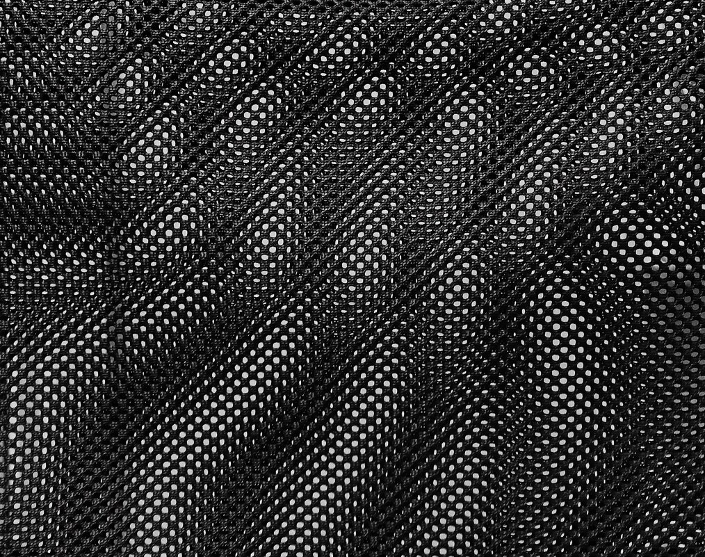 * - Василий Палий