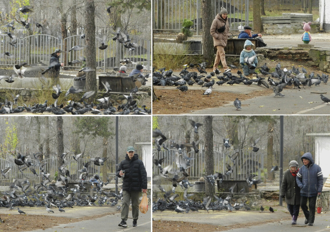 *** - Лера *** - Лера